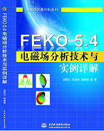 FEKO 5.4ųʵ