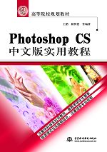 Photoshop CSİʵý̳