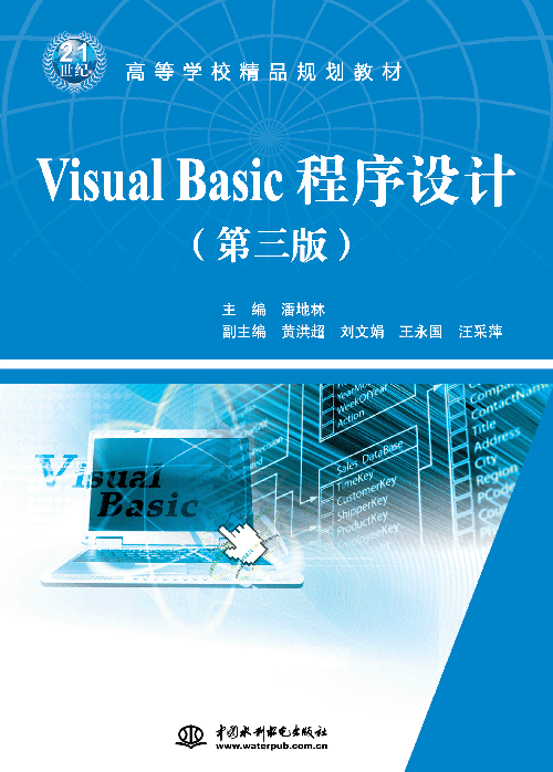 Visual Basicƣ棩