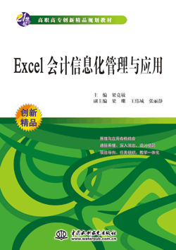 Excel会计信息化管理与应用